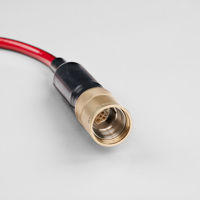 Trustlink MS Hybrid CCP 2SM 4M 2