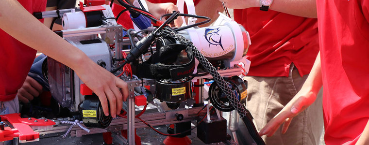 Marlim Rovs Marlin in action