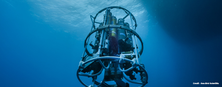 NCPOR Macartney Sea Bird Scietific Top