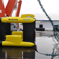 Sea Bird Macartney Triaxus Deck