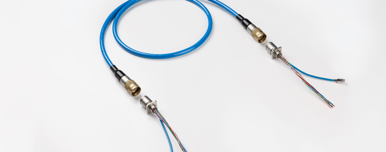 Trustlink Data System Right W