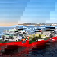 Althea 02 1 Scaled E1738413101832