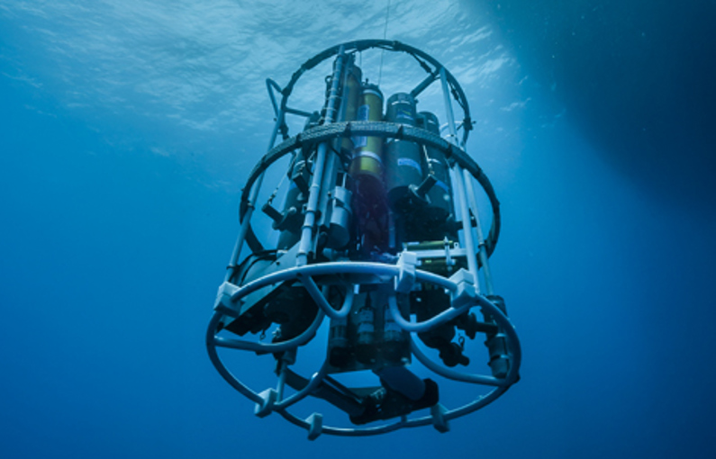 NCPOR Macartney Sea Bird Scietific List